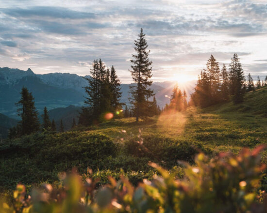 Naturbild Sonnenuntergang
